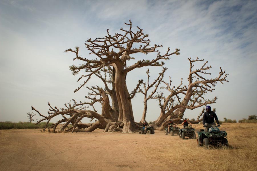 Excursions au départ de Palm Beach