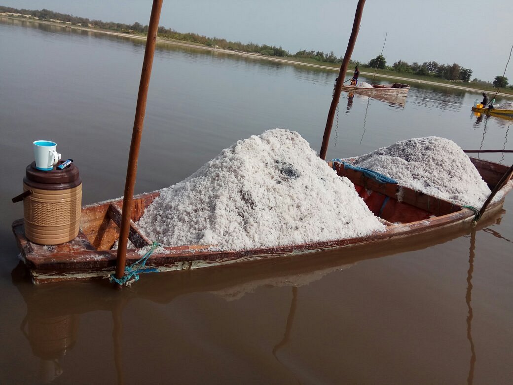 Excursion au Lac Rose SEN GAM DECOUVERTE (7)