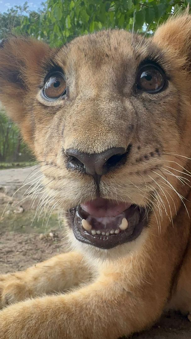 Max Travel Sénégal Guide Local (7)