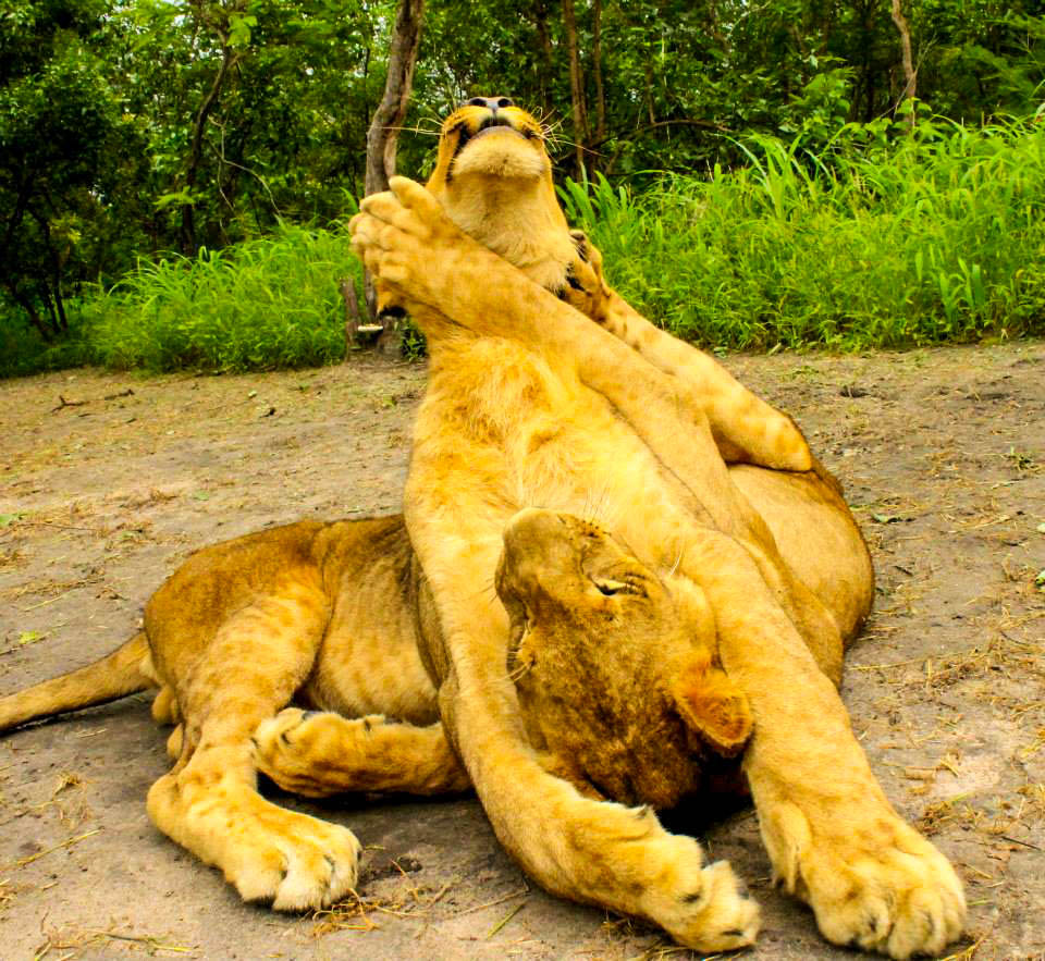 Excursion Réserve de Fathala