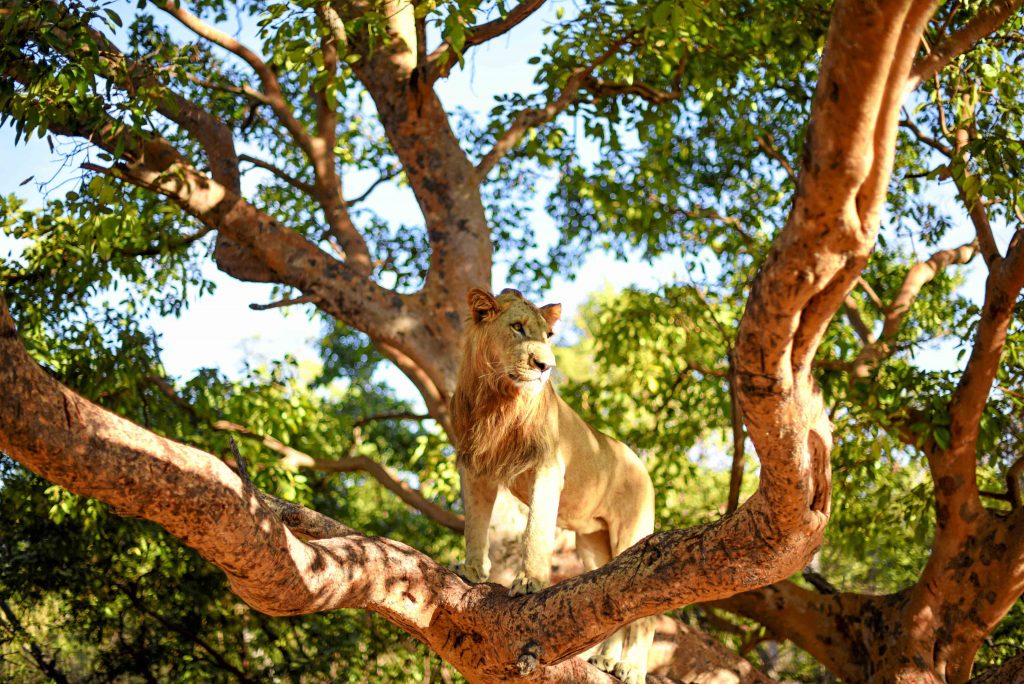 Excursion Réserve de Fathala