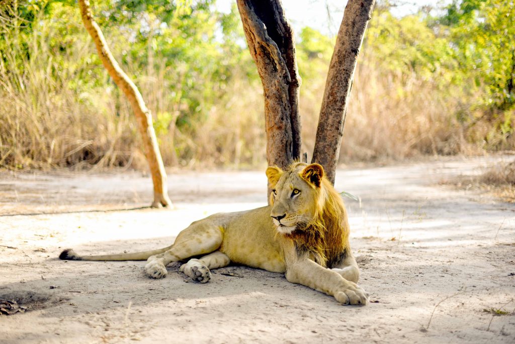 Excursion Réserve de Fathala