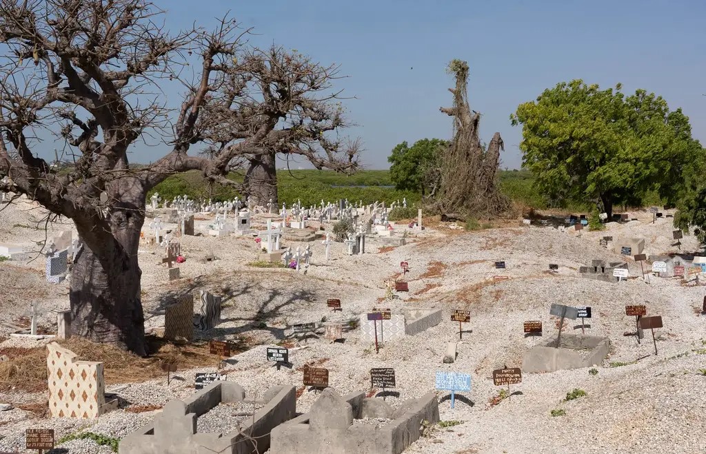 Excursion Joal-Fadiouth