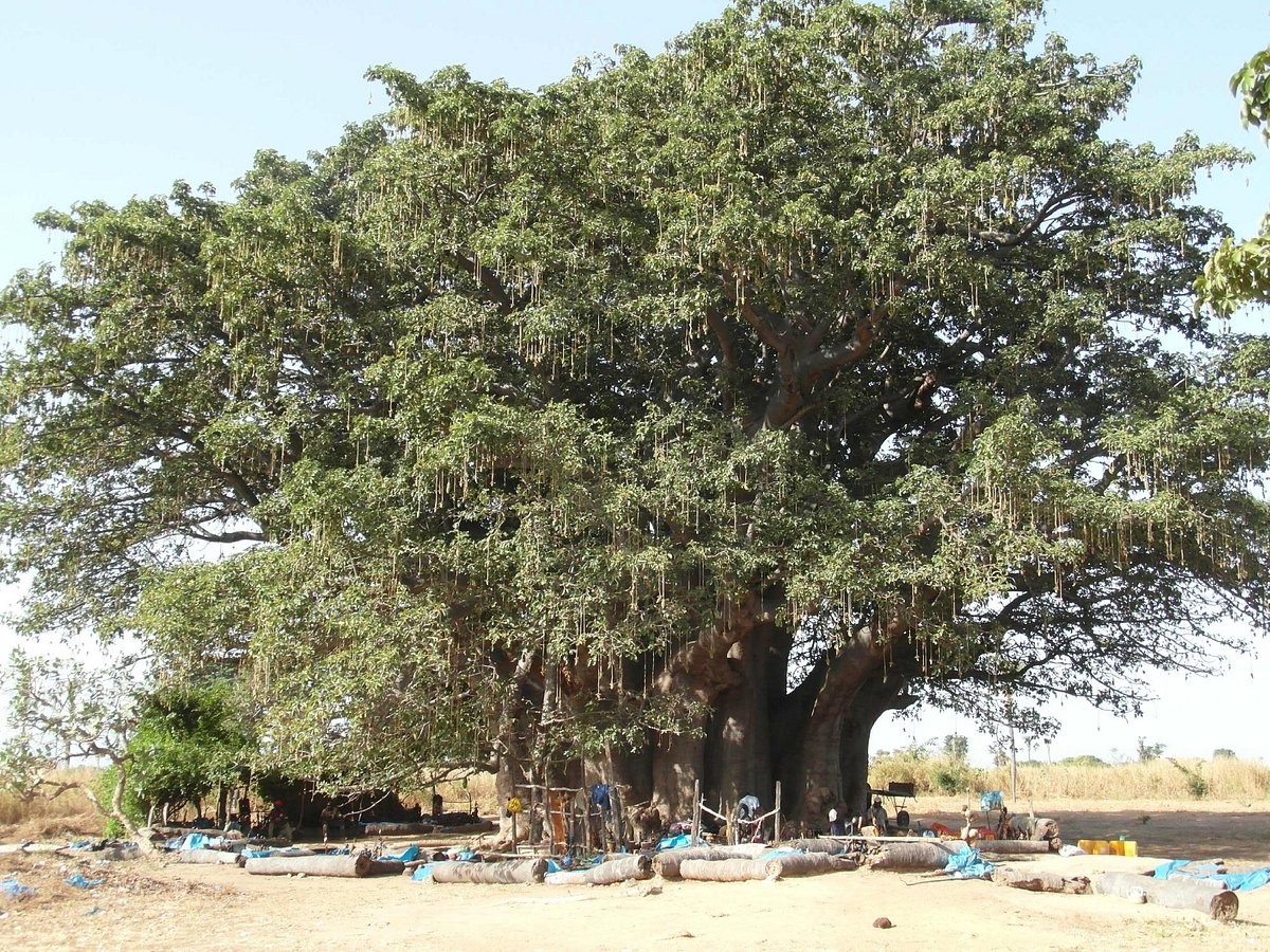 Excursion Joal-Fadiouth