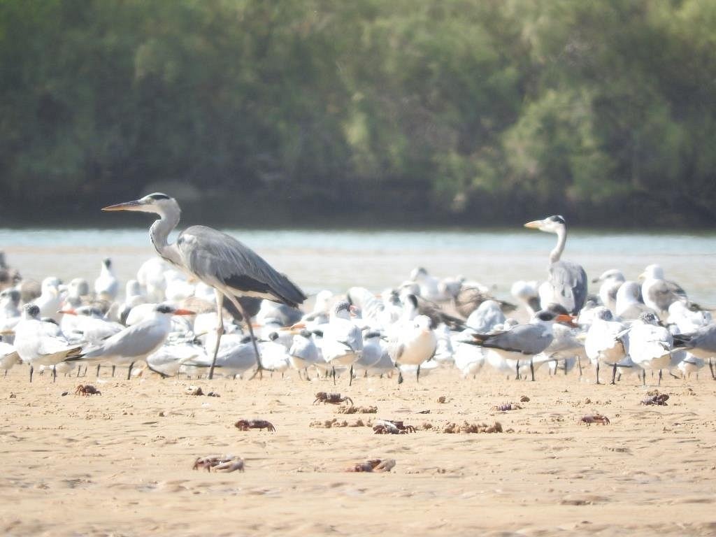 Excursion Lagune de Somone