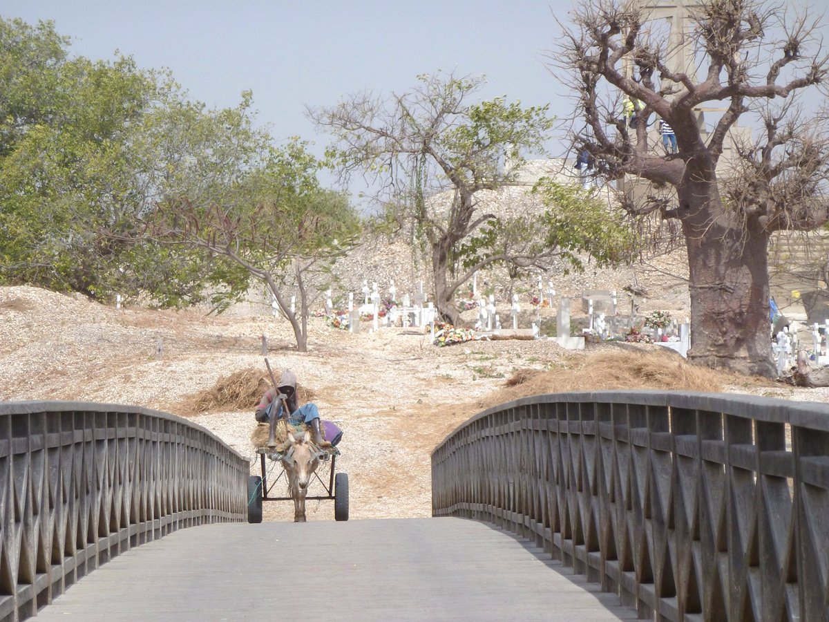 Excursion Joal-Fadiouth